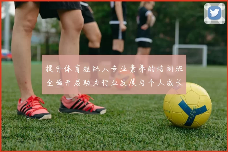 提升体育经纪人专业素养的培训班全面开启助力行业发展与个人成长