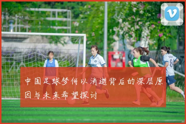 中国足球梦何以消逝背后的深层原因与未来希望探讨