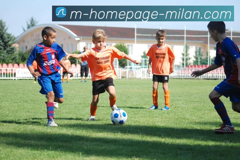 多媒体互动体验